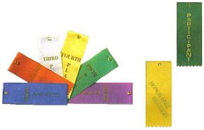 A group of ribbons that are all different colors.